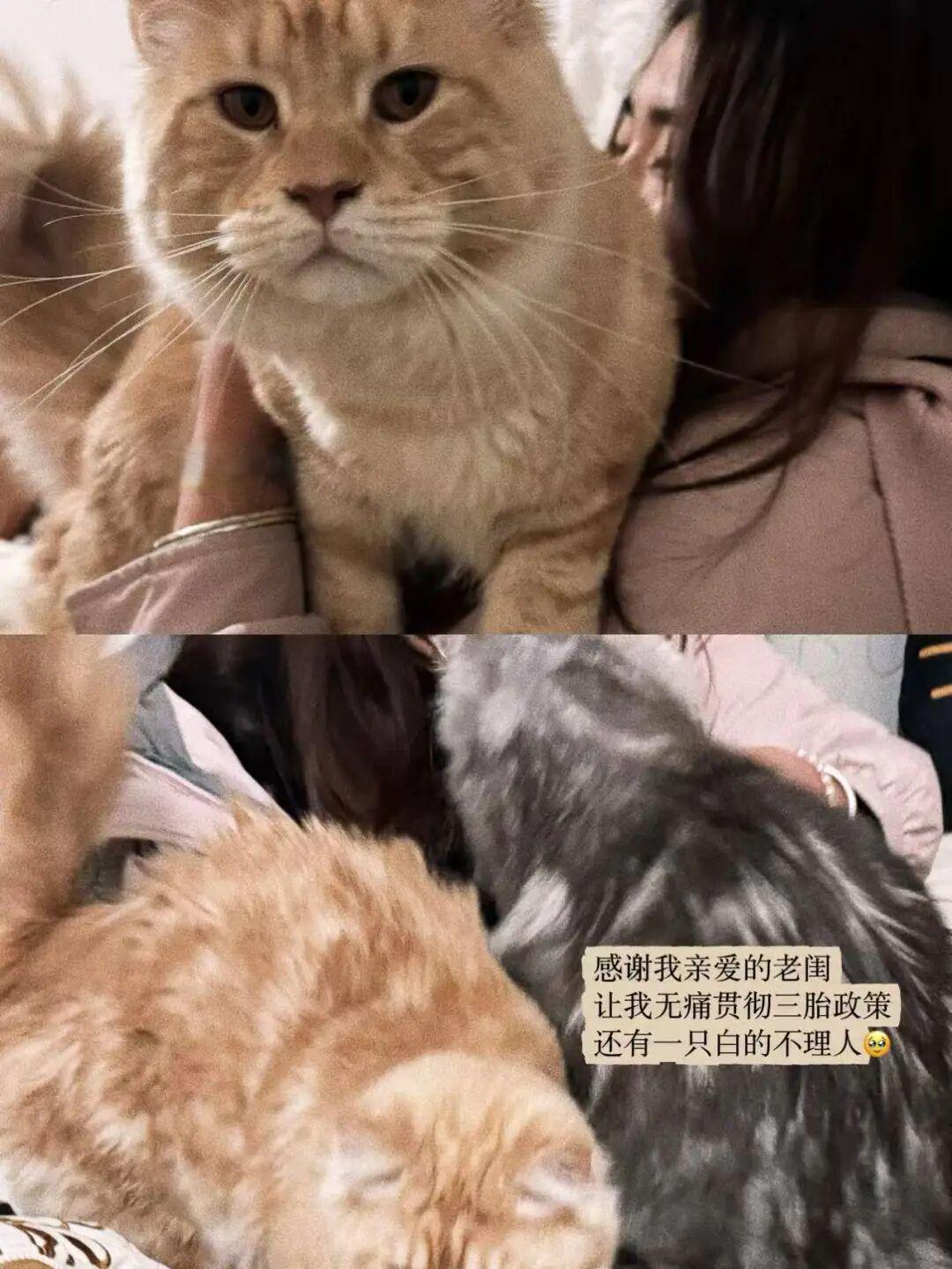 对设计、商业、文化的初步认识 | 漳州(平和)、成都宜宾、厦门、福州、泉州,来自年初以来每个周末的辗转与观察