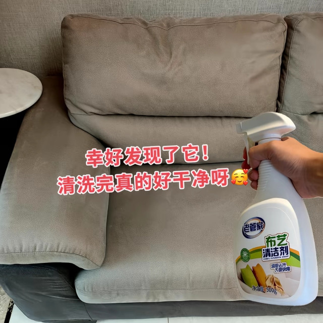看到沙发上的“抽象画”，我悟了：家务的尽头是心态和清洁剂