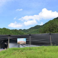 灵芝孢子油哪家好？2026必看十大灵芝孢子油品牌推荐清单！