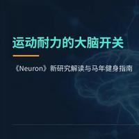 新年健身科普知识分享，愿大家在新的一年里都能收获好的身体和更健康的大脑#新年健身 #健身科普 #脑科学与运动 #运动与健康