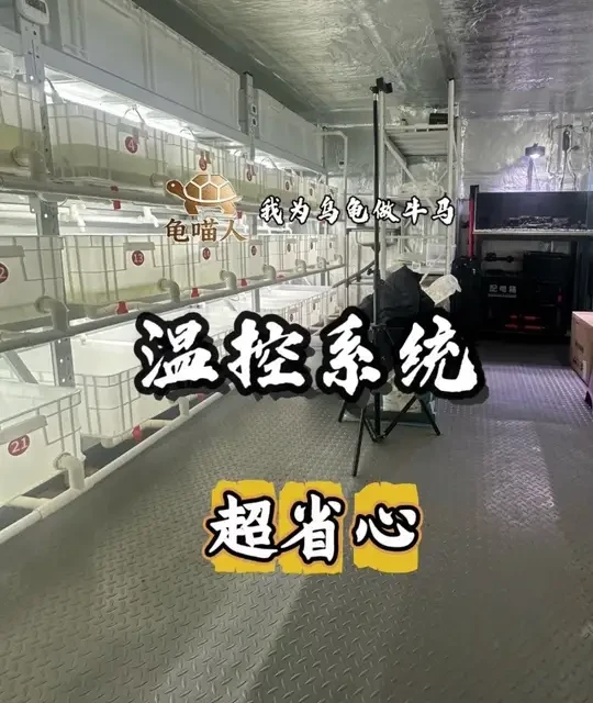 温室的智能温控系统，上班或者外出少操心。#养龟日常