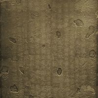 王献之洛神赋十三行高清单字，太震撼了！