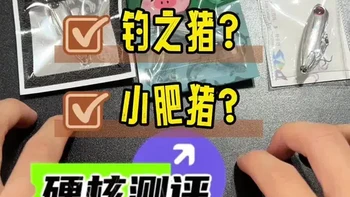 实测3款微物之字狗，谁是性价比之王？ 钓友们，不想踩坑就看过来！今天带大家测评3款超火微物之字狗，从价格、重量、漆水、钩子，再到实战泳姿和抛投，全方位对比，帮你选出最值得入手的那一款，结尾还有惊喜互动，千万别错过，快来和渣渣辉一起路亚避坑吧！#微物之字狗测评 #路亚装备测评  #路亚避坑   #微物之字狗 #微物之字狗