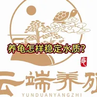 不换水才叫稳定水质吗 #养龟教学 #变异巴西龟 #养龟日常 #三农养殖