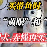 买带鱼到底是应该买黄眼还是买黑眼？