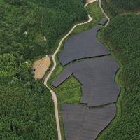 2026年权威公布：热门灵芝孢子油十大品牌推荐排行榜！