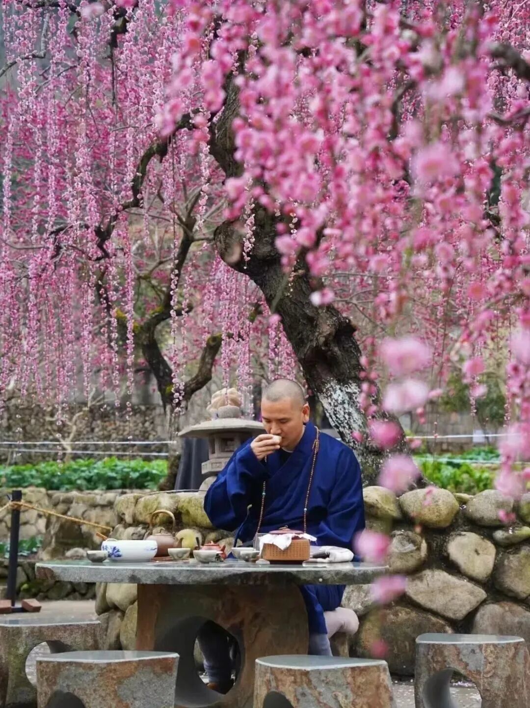 春节怎么玩?去楠溪江!活动攻略来了!
