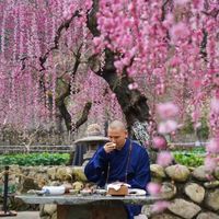来温州·享温暖 | 楠溪江春节活动全打包，照着玩就行~