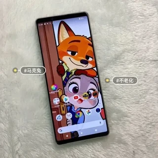 当初8000的微单级影像手机！顶级 4K带鱼屏！红标蔡司！如今300+
