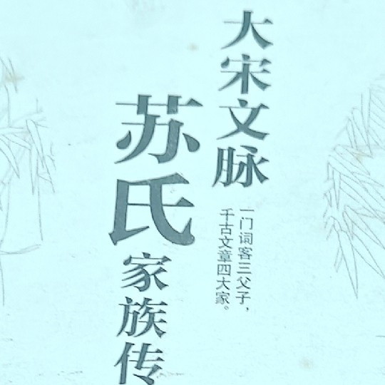 《大宋文脉：苏氏家族传》—— 二孩爸爸的读书笔记