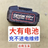 大有电池充不进电维修