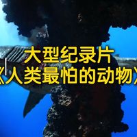 大型纪录片《人类最怕的动物》持续为您播出！