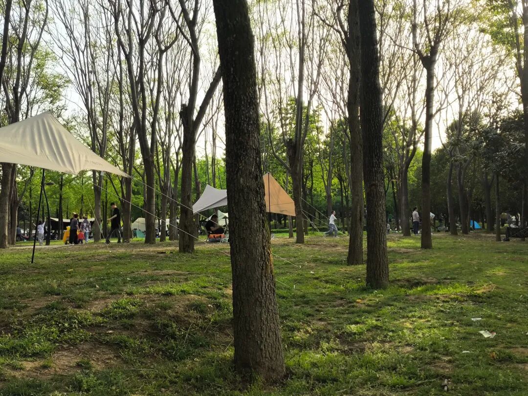 比起梁家滩,西安高新区“最大”公园走红,搭帐篷、钓鱼、带宠物均可,门票、停车免费!