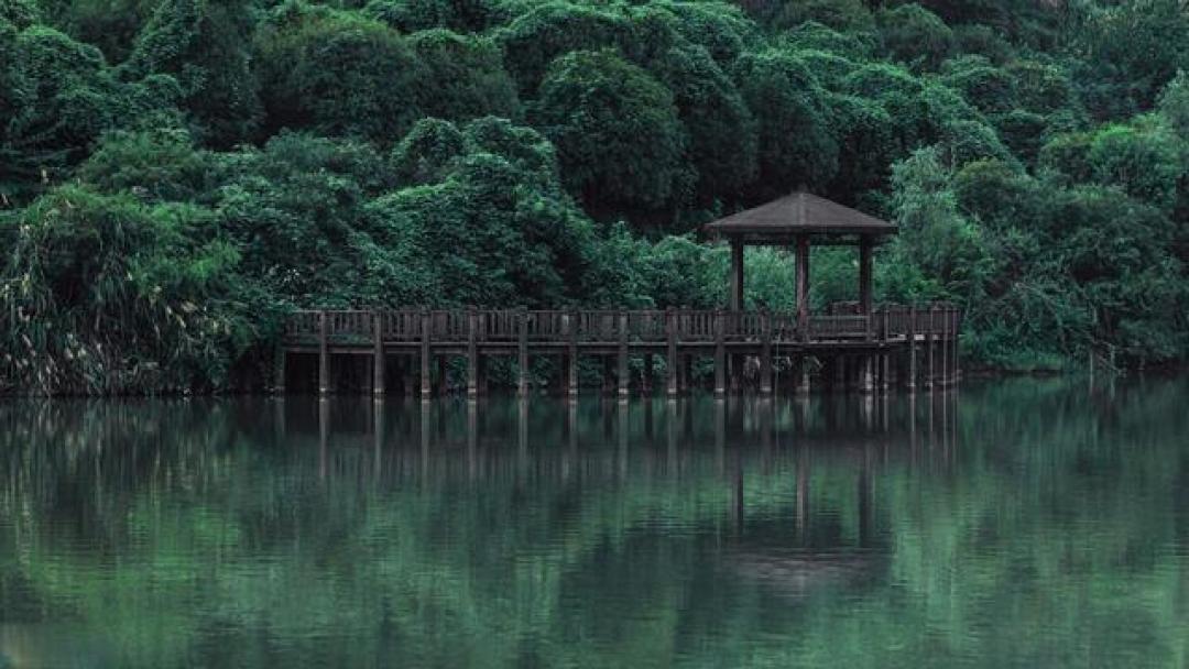老刘实测|手机计算摄影画质大比拼,各品牌优劣势一次说透