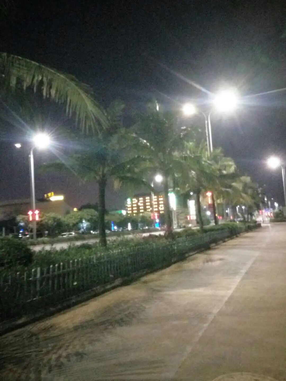 椰子圆滚滚的,看起来好看,喝起来好喝!但不要多喝!