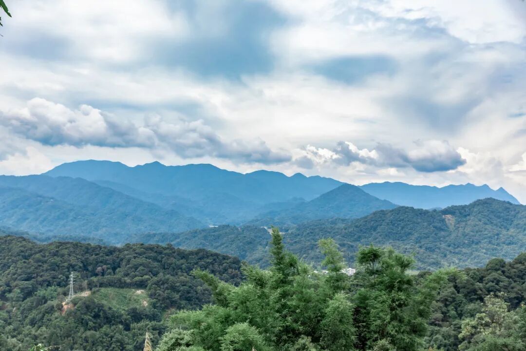 春节出游新爆点!打卡惠州“最美旅游公路”,邂逅山海惠州风光