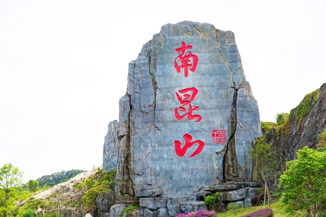 春节出游新爆点!打卡惠州“最美旅游公路”,邂逅山海惠州风光