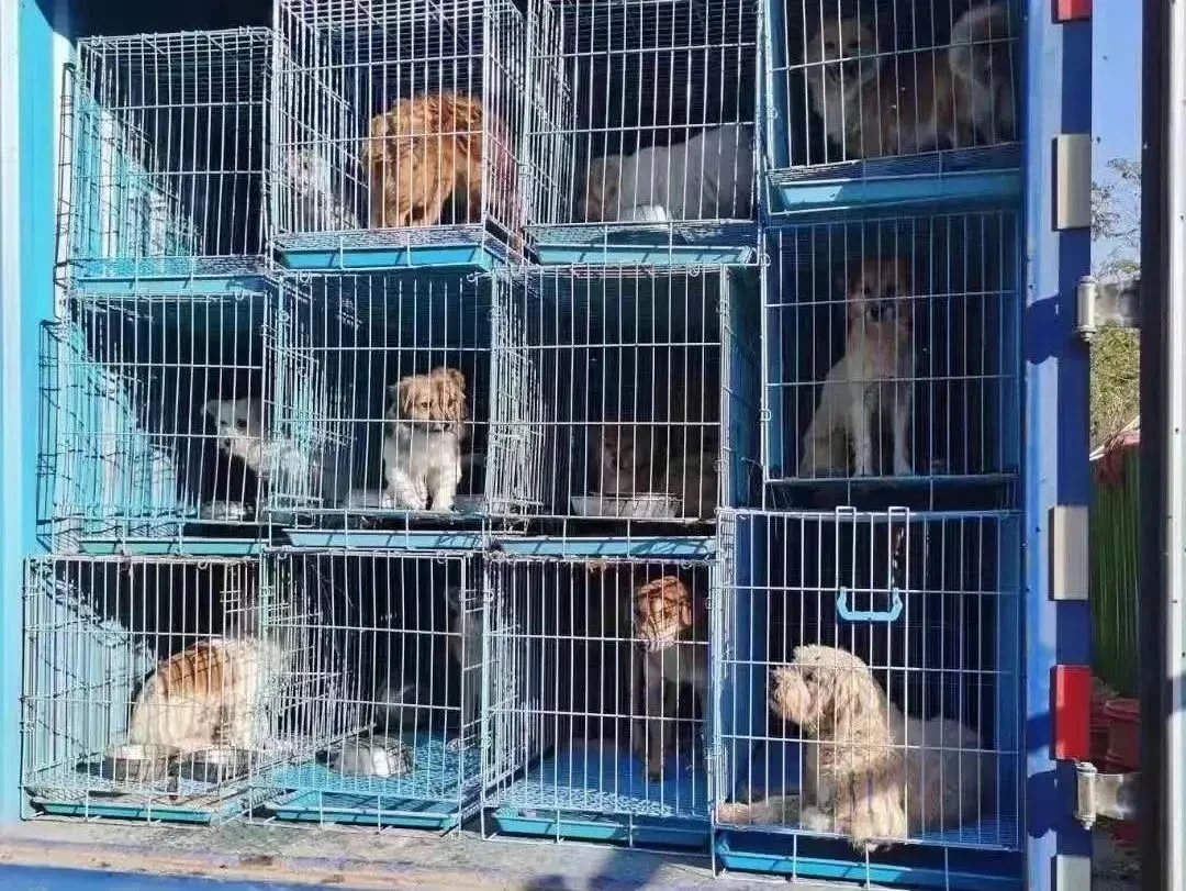抱歉,团队准备解散了!