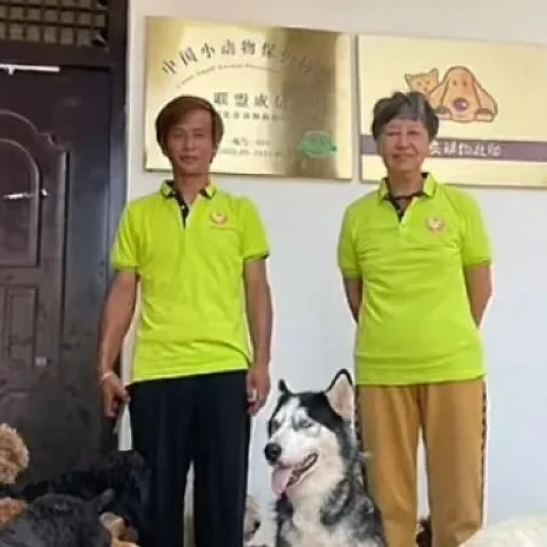 抱歉,团队准备解散了!