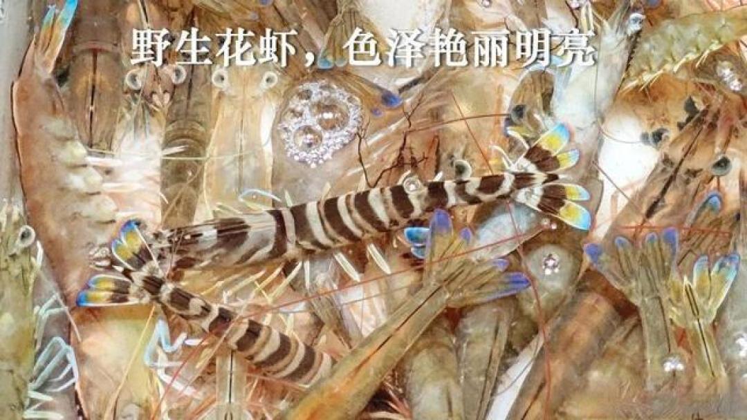 花虾，养殖为何也昂贵，和野生如何区分？