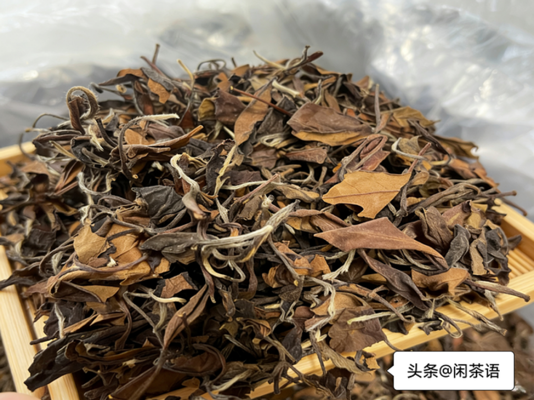 闭眼不踩雷!2026口碑茶清单,新手买茶照着选就对