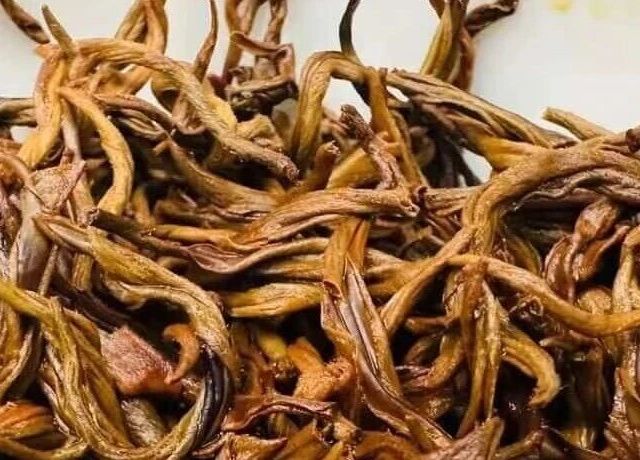 百元口粮茶怎么选？耐泡度与自然香才是日常饮用的关键