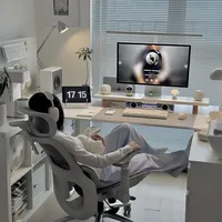 黑白调P2 Pro工学椅：久坐办公的救星还是智商税？1000+用户观点大PK