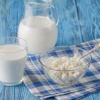 乳糖耐受力与肝病风险：中国人天天喝鲜牛奶的适配边界
