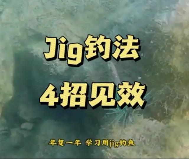 jig立竿见影的四大控饵秘诀 #路亚鲈鱼#路亚假饵 #路亚新手入门教程 #路亚教学