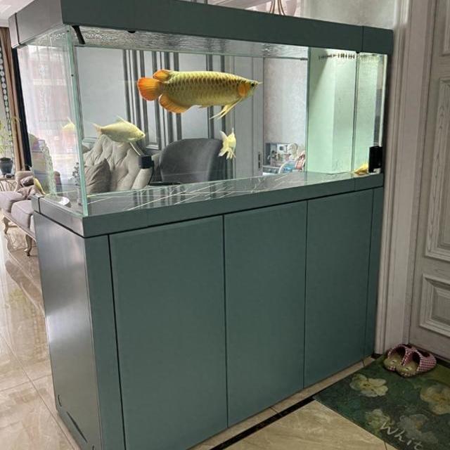 鱼缸放哪里最吉利最安全？大白话讲透，照着摆不出错