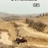 很多人以为《平凡的世界》是写给平凡人看的励志书，其实这就是个 很多人以为《平凡的世界》是写给平凡人看的励志书，其实这就是个误会#路遥  #平凡的世界  #好书推荐  #好书分享  #刘震云 #春节书单  #田晓霞 #孙少平 #孙少安 #贺秀莲 #孙少安