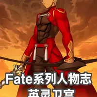 Fate系列人物志——英灵卫宫 #fate系列 #二次元 #人物志 #动漫编年史 #我在抖音看动漫
