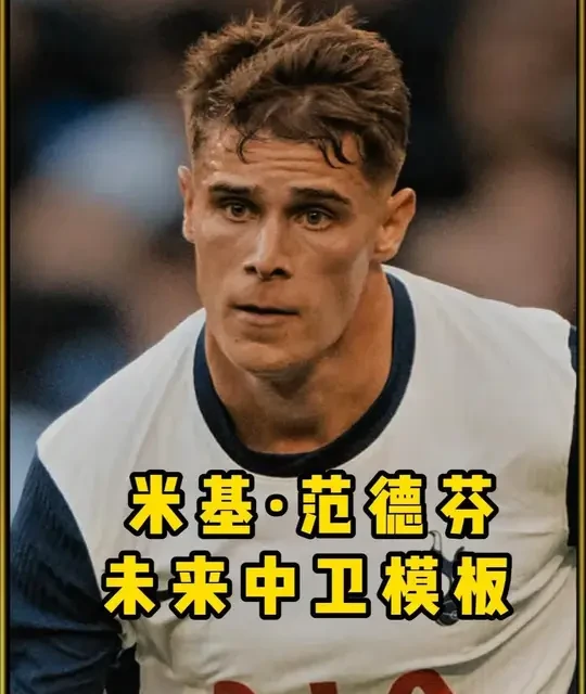 荷兰后防传承！范德芬接棒范戴克，热刺下赛季还能留着他吗 #热刺 #英超 #范德芬 #荷兰队 #dou来足球季