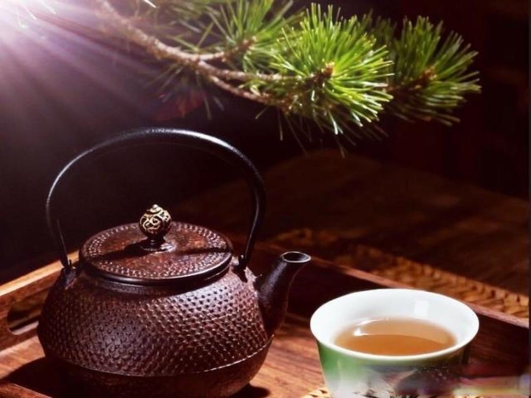 品茶论道:一壶茶里的千年文明