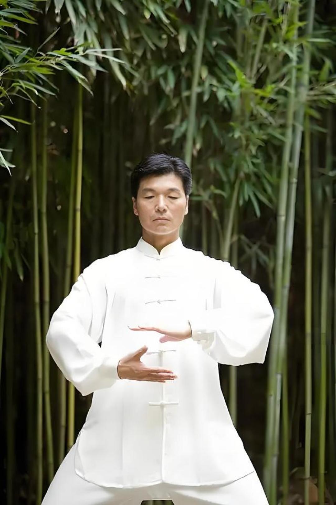 揭秘太极拳的阴阳奥秘:一招一式,开启身心平衡的秘密