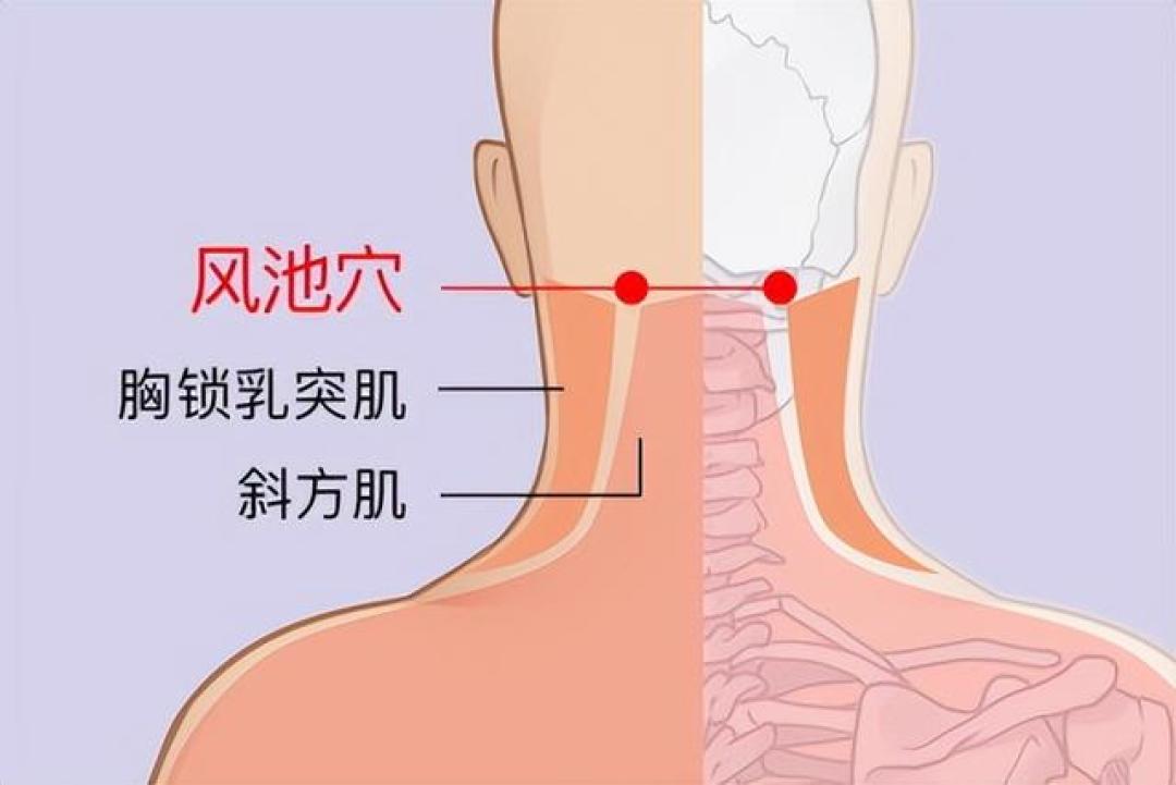 颈椎不好一身病!内调外养搭配做,让你告别疼痛。