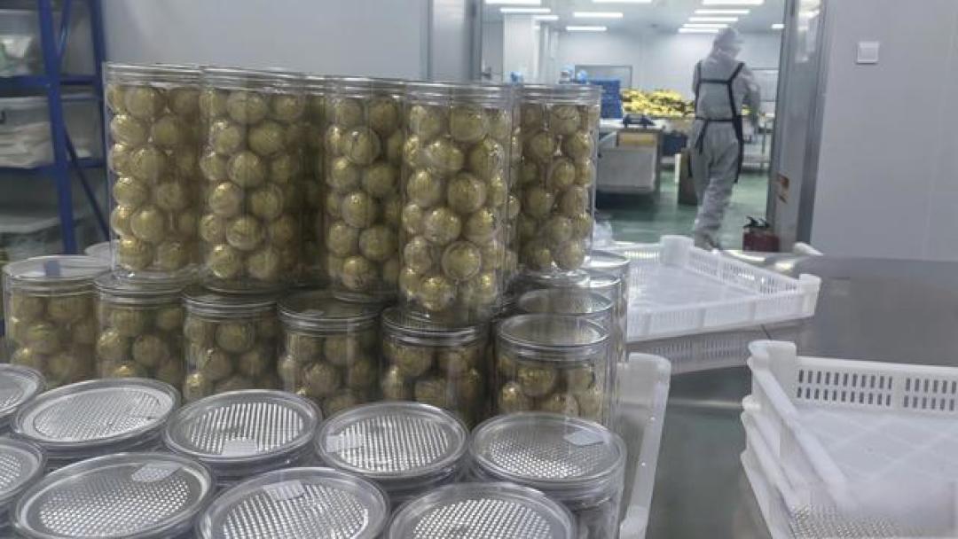农产品营销:斗心智 见人心 赢市场