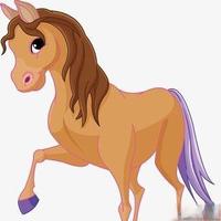 小马宝莉为啥火遍全网