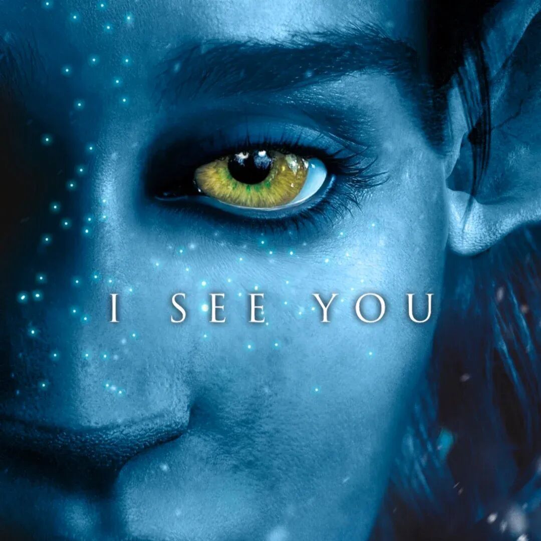 心香一瓣|火与烬中,I see you