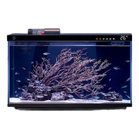 养龟一定要知道的十大黄金准则！#养龟#养龟知识#新手养龟 #养龟日常 #养龟必看