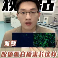 胶原蛋白原来长这样 护肤品真的能帮助胶原蛋白合成吗？产品天花乱坠，最根本的就是能不能让皮肤的胶原合成更多。这次我们再次把产品送到了实验室，用体外cel培养的方式让大家直观的看一下，胶原蛋白是怎么合成的#水光嘭嘭胶 #保湿 #丰盈 #春节护肤 #胶原蛋白