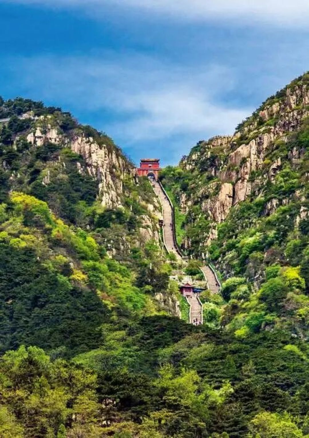 行走丨五岳之首泰山