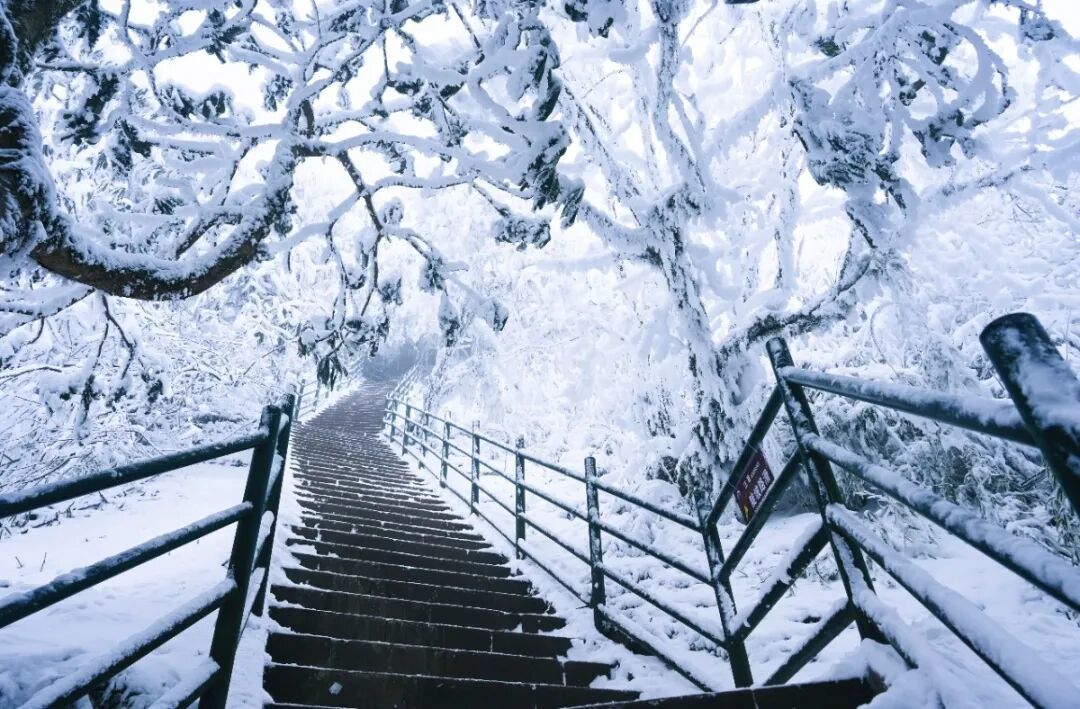 等雪来!瓦屋山绝望坡雪后挑战 UP + 趣味 UP,徒步党速冲!