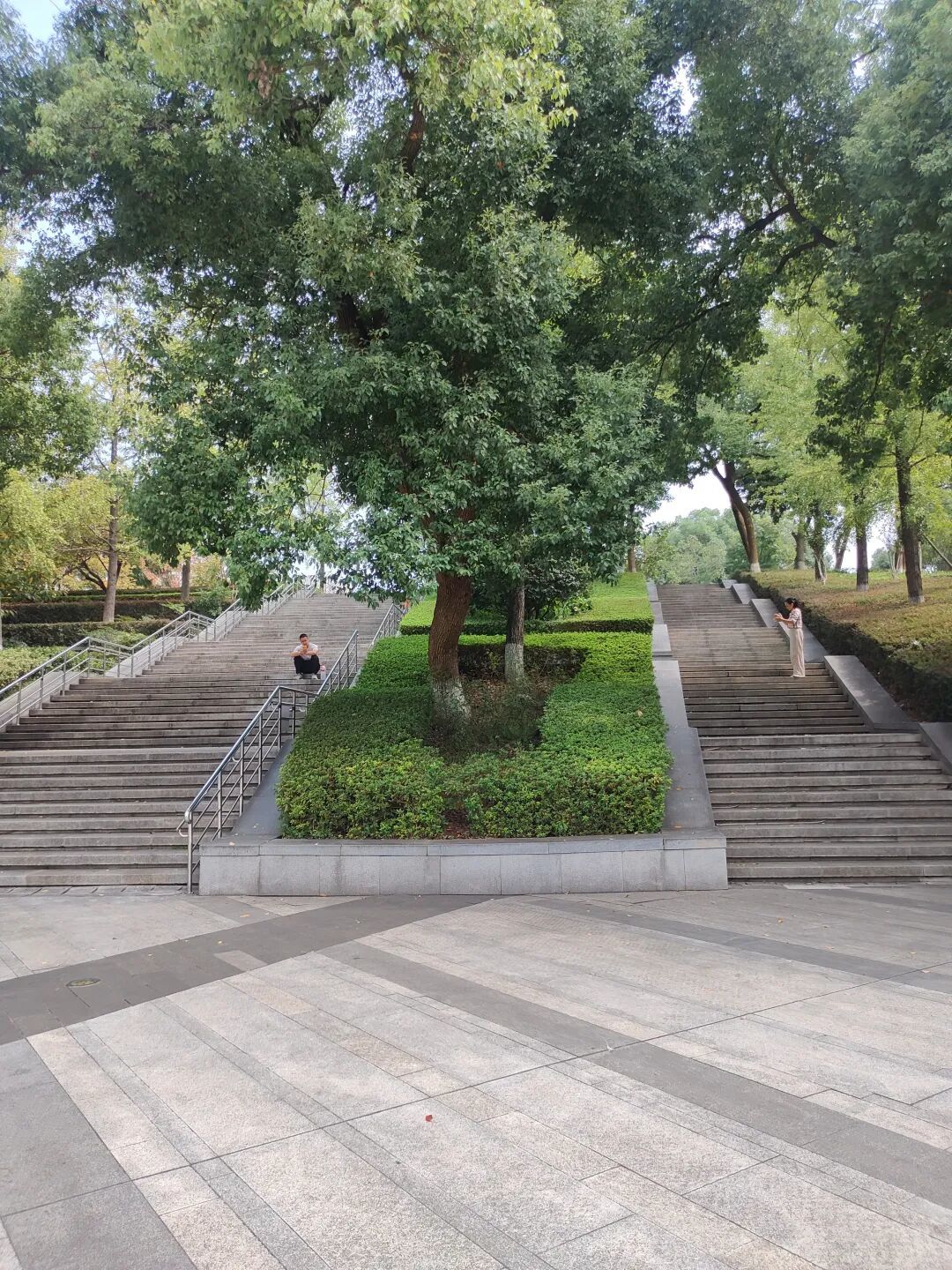 八方公园:藏在城市里的森林呼吸