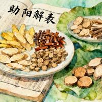 每日一剂名方：再造散 —— 助阳解表的散寒良方