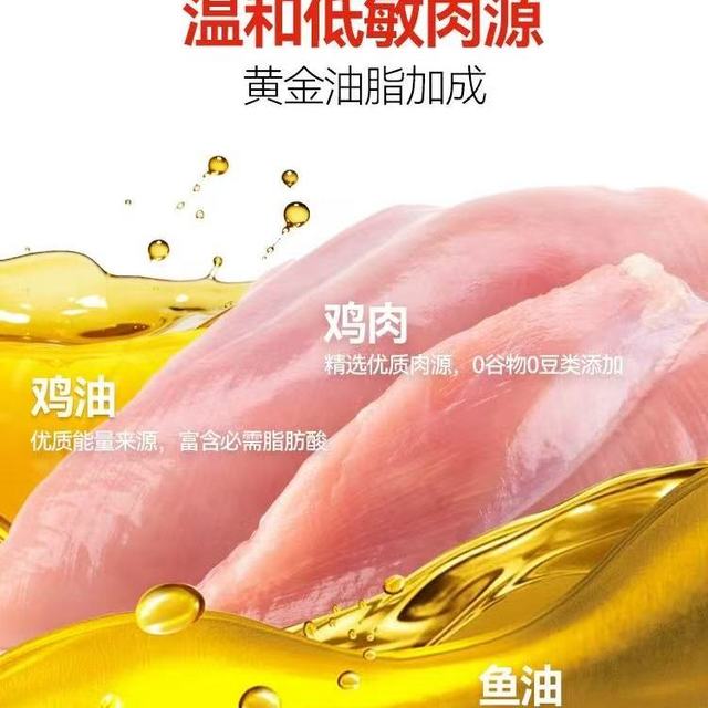 救助党闭眼囤🔥科膳烘焙猫粮 6kg｜流浪猫干饭王✨