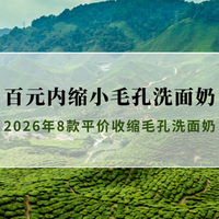 百元内洗面奶哪个牌子好?2026年8款平价收缩毛孔洗面奶性价比实测