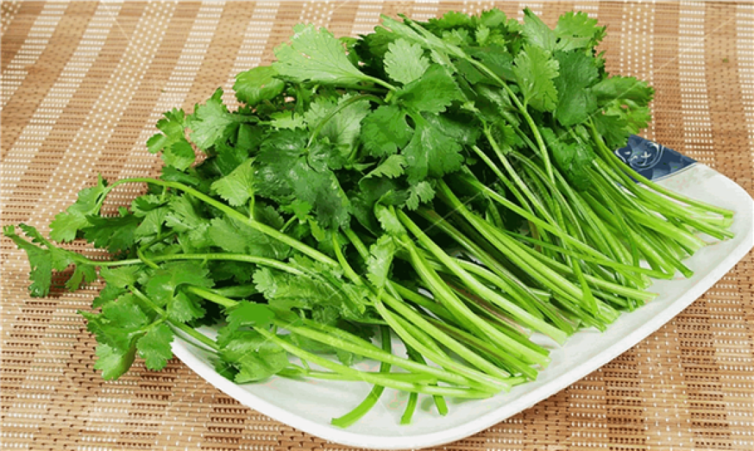今天是世界讨厌香菜日：爱恨两极端！背后是基因决定