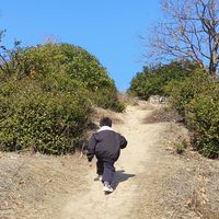 亲子爬山｜新手友好的嘉兴金九小道徒步攻略
