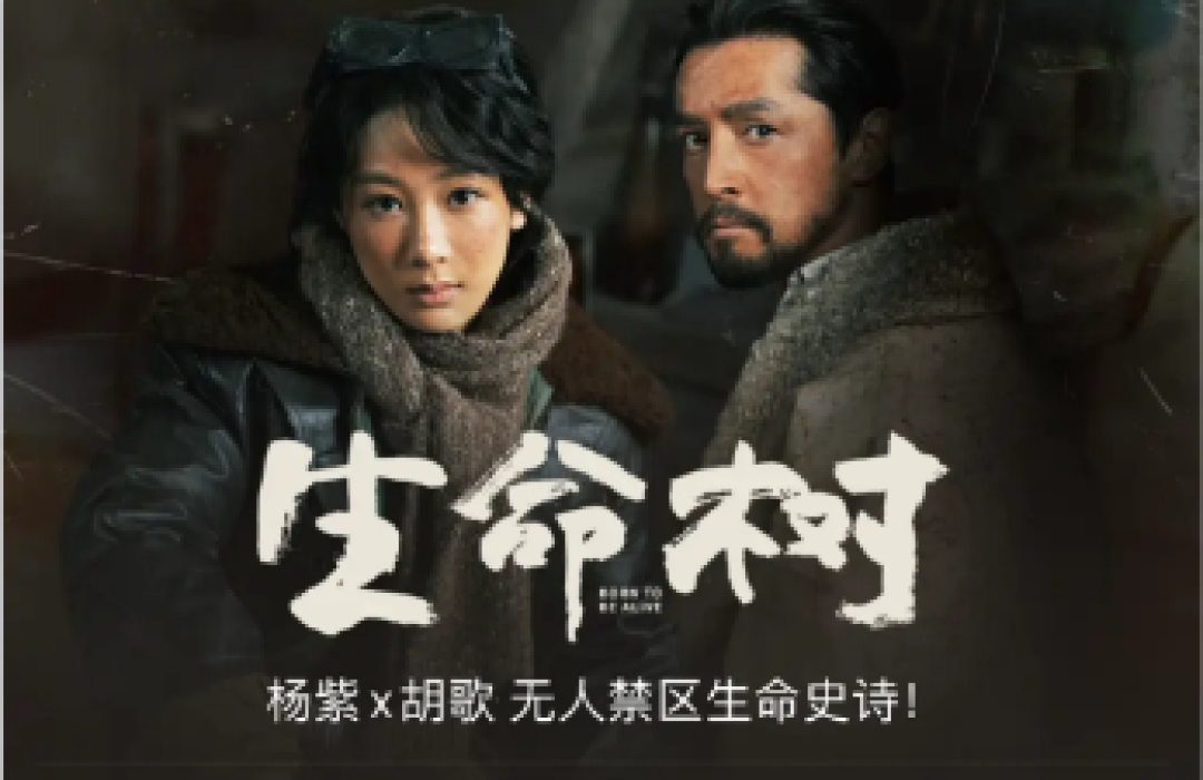 《生命树》大结局:有信仰的人,有自己的方向(评论+分集剧情介绍)